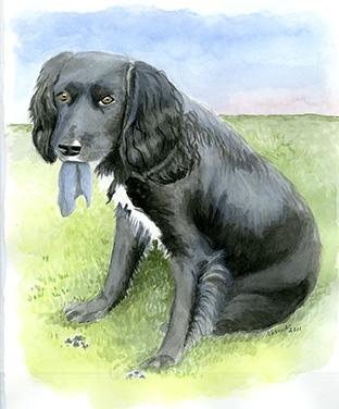 Blackie