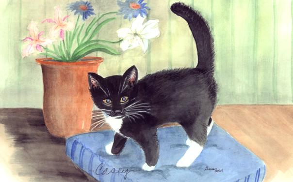 CaseytheCat1a1